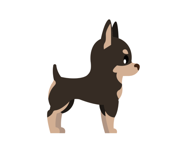 Chihuahua Level 0.1 Male
