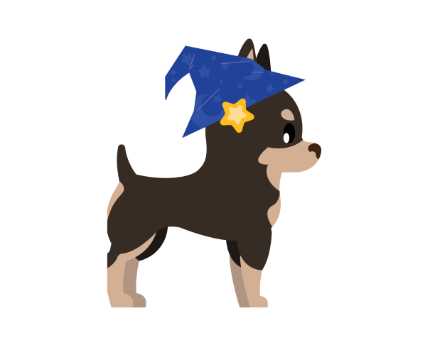 Chihuahua Level 1 Male