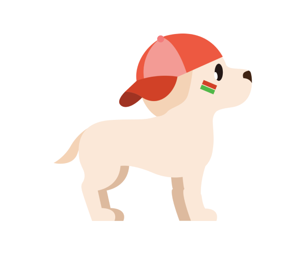 Labrador Level 1 Male