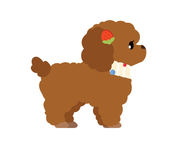 Poodle Level 1 Male